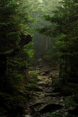 lori-rocks:  into the unknown…. by Toshiuki