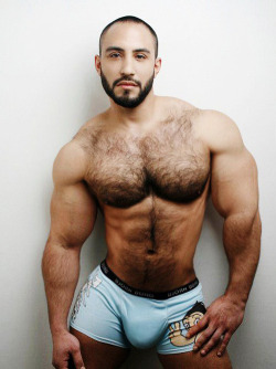 hairy-chests:  HairyChestS  WOW he&rsquo;s muscular, handsome, hairy, and a great looking bulge -