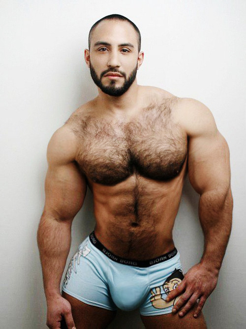 hairy-chests:  HairyChestS  WOW he’s muscular, handsome, hairy, and a great looking bulge -