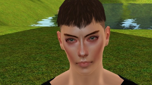 male sim