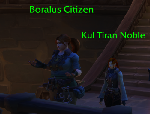 asynca: I support the tiny lesbian and her huge beefy love interest that wander around Boralus toget