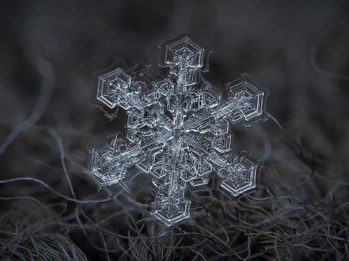 meaningfulsilence:Micro-photography of individual snowflakes by Alexey Kljatov