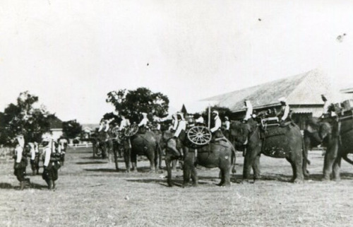 Siamese military maneuvers in 1905.
