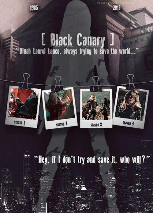 bigdeesmallworld: RIP Laurel Lance: Season 1 - Season 4 “ After you died, I needed a channel for my 
