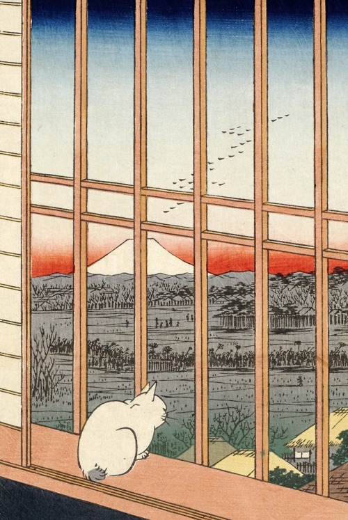 Utagawa Hiroshige - Asakusa Ricefields and Torinomachi Festival, No. 101 from One Hundred Famous Vie