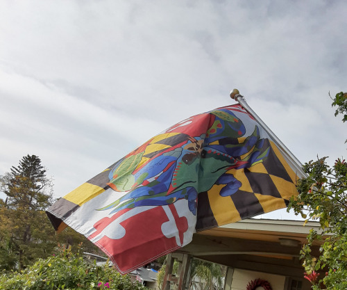 softearedyoda:rvexillology:It seems my neighbor has an improved Maryland Flag from /r/vexillology To