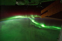 spaceexp:  Auroras from Space