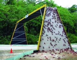 sixpenceee:On Christmas Island, Australia, they have special overpasses and underpasses that help millions of crabs cross the street.