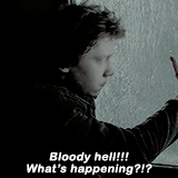 harrypotterdailly: The best of Ronald Weasley - Part I, Part II
