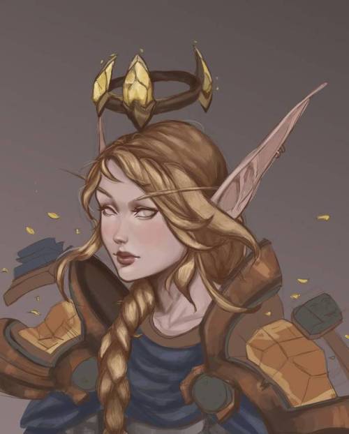 Paladin, World of Warcraft by Luunaarts