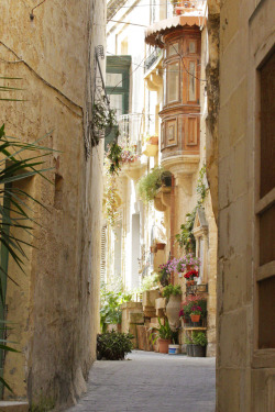 allthingseurope:  Mdina, Malta (by saladgreensee) 