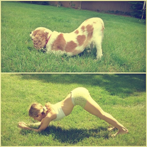 I taught my pup some yoga this morning. She seems pretty relaxed ;)