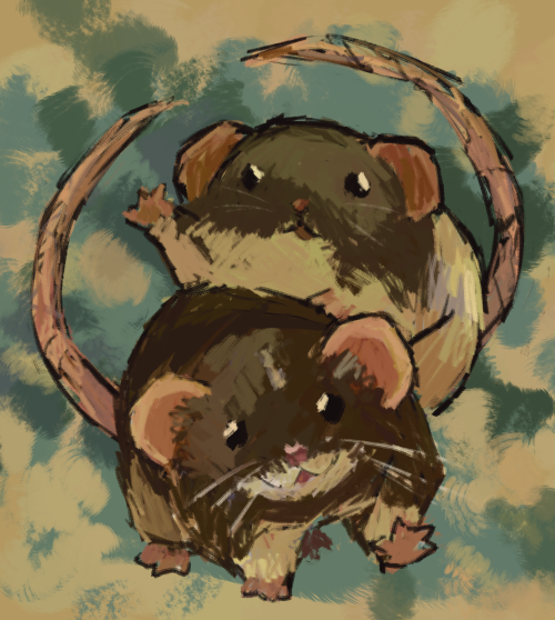 petday:pet rats commission for a patron