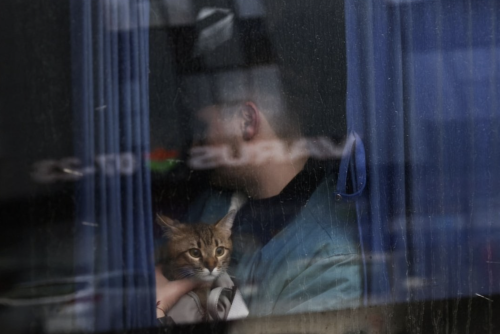 catsbeaversandducks: Ukrainians fleeing with their pets. They don’t leave them behind. I can&r