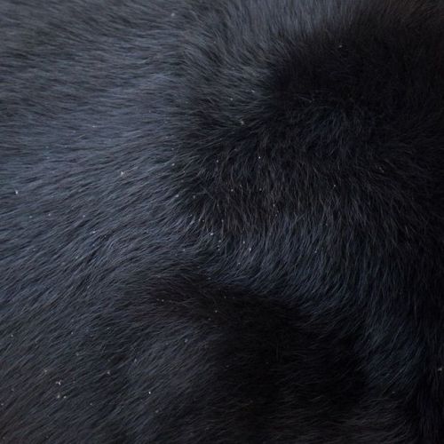 Black cat stimboard for anon <3Cr: [ x x x ]  [ x x ]  [ x x x ] 