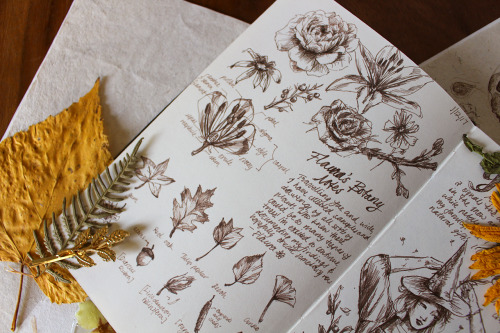 darkmacademia:an old botanical spread in a sepia fineliner + pressed sunflowers.