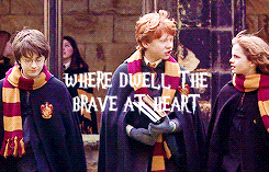   harry potter meme: one house ↳gryffindor “You might belong in Gryffindor, where dwell the brave at heart. Their daring, nerve and chivalry set Gryffindors apart.”    damn right.