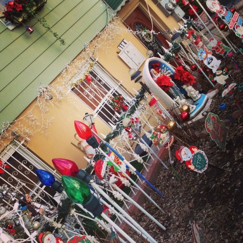 ALL THE CHRISTMAS THINGS #greenpoint #brooklyn #bk #nyc