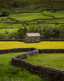 ohmybritain:  Swaledale, North Yorkshire