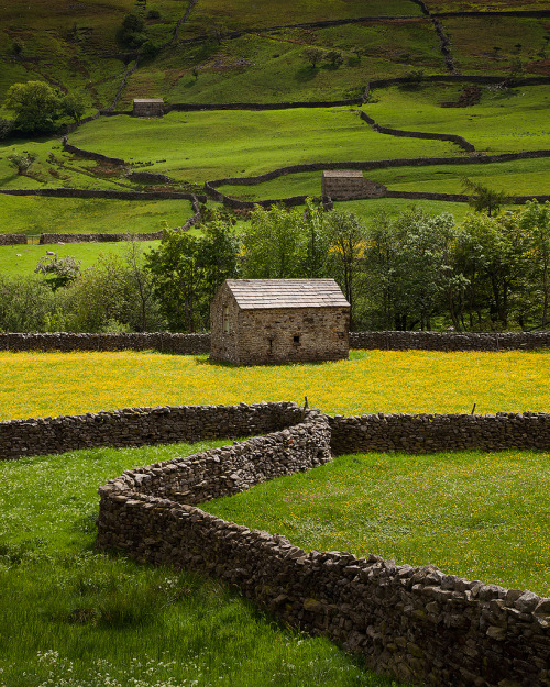 ohmybritain:  Swaledale, North Yorkshire by photoimage on Flickr. 