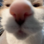 ifnzty