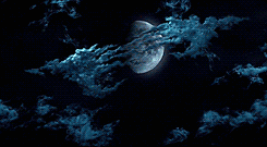 peachiex:  Visually Stunning Movies: Coraline 