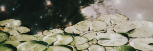 Fairy Garden Headers