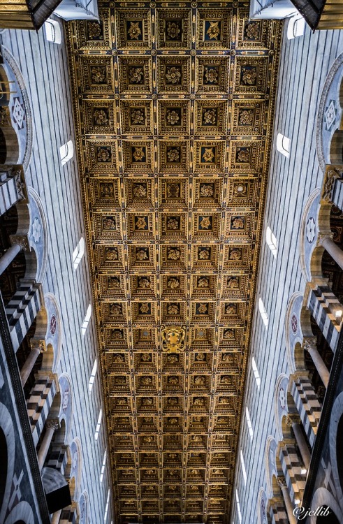 Cattedrale di Santa Maria Assunta, Pisa, Italia.www.jcllib.tumblr.com