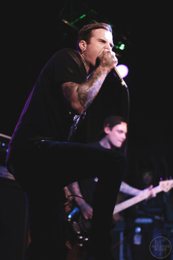 lntended:  The Amity Affliction by Alexandra