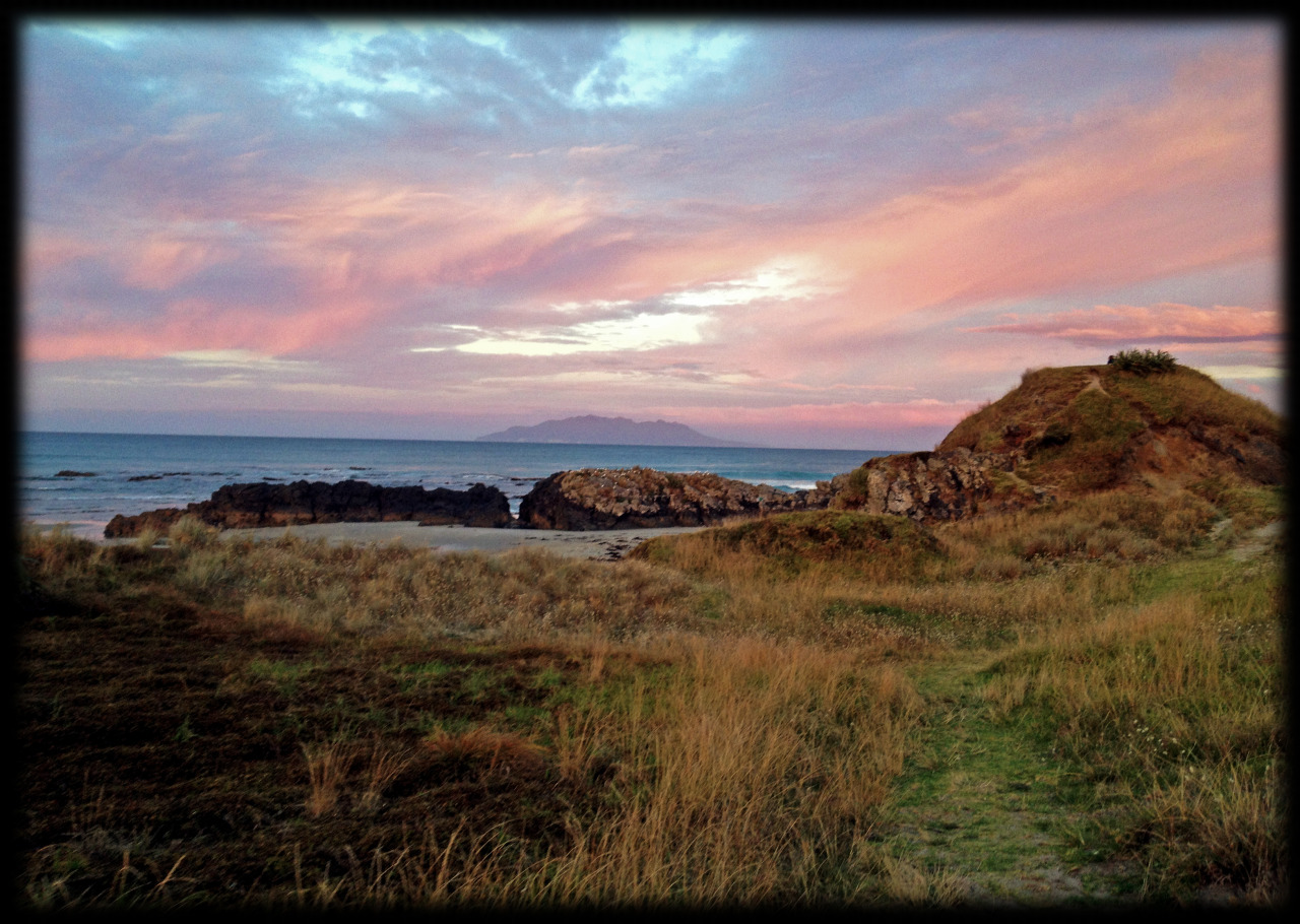 liquidredwax:    Tawharanui Wildlife Reserve, New Zealand   