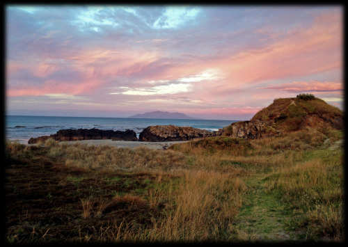  Tawharanui Wildlife Reserve, New Zealand 