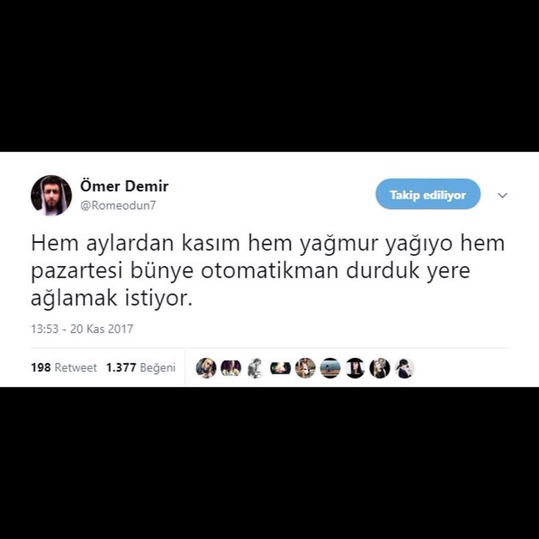 Hem aylardan kasım,hem...