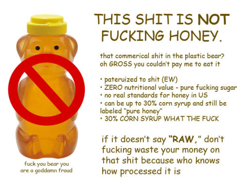 wishes-he-was-king-of-bears:  preservedcucumbers:  There are two things in life that I am truly passionate about: Comics, and honey.  “i am so serious here i will come to your house and beat you with a plastic bear if you microwave your fucking honey”