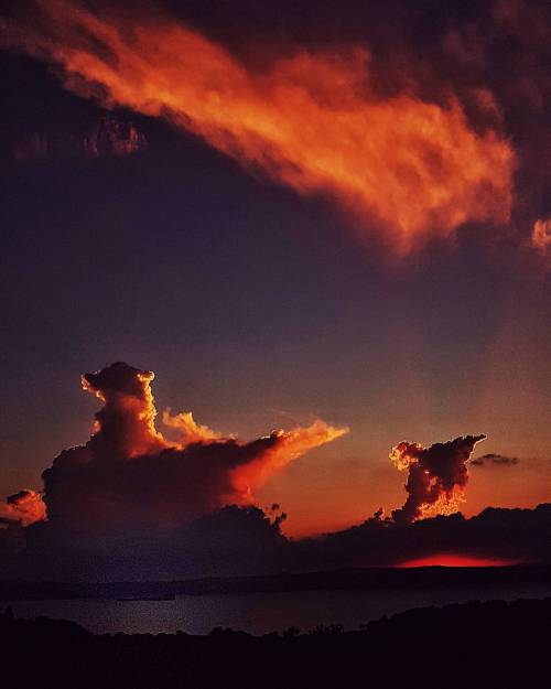 Faggiano e pesce volante! #lucahdphoto #bolsenalake #tramonto #bolsena #paesaggio #italy #nature