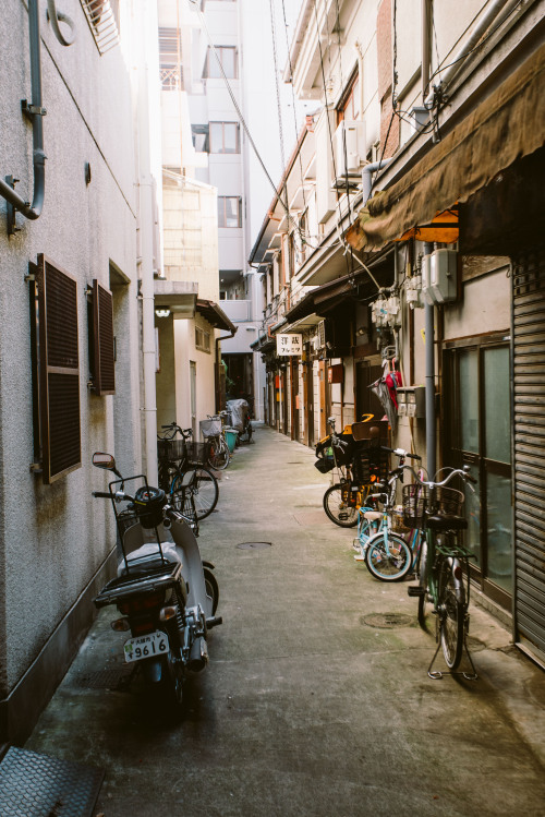 Exploring Osaka.