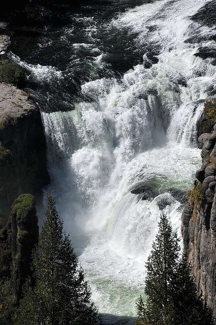 brutalgeneration:  Lower Mesa Falls by Bachspics on Flickr. 