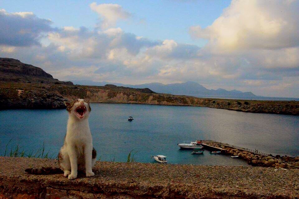 ledziu:  My perfect place to spend holidays.