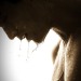 edgarmoser:9335