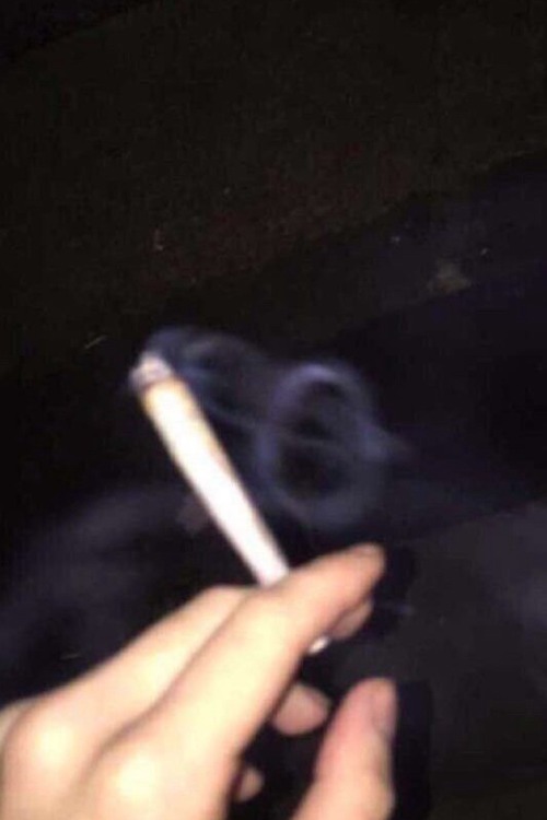High Sex With Jj? Maybe They Were Friends Nd Chose To Be Fwb But Maybe One Of Them Breaks? And Realizes