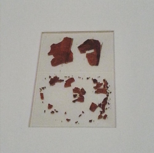 Alleged fragments of Percy Shelley&rsquo;s cremated skull. They sure do look like dry leaves. #byssh