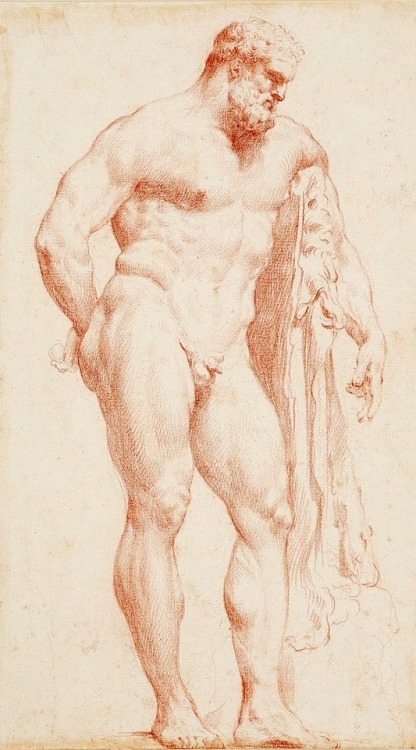 sculppp: Carlo Maratta (1625 – 1713)Farnese Hercules, 1670s drawing.