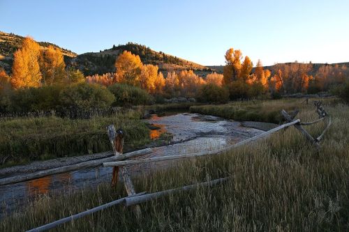 The last rays of sunlight set aspen trees aglow in Bannack State Park, a national historic landmark 