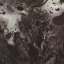 shadyhumanoidplace