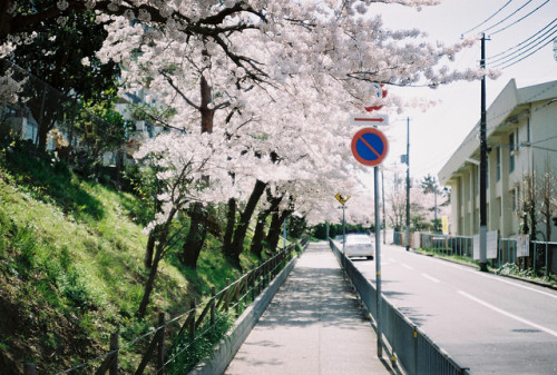 harukari:Rikenon Magic by halfrain on Flickr.