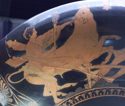 Theseus captures the Bull of Marathon.  Detail from the “Aeson Cup”, an Attic red-figure kylix signe