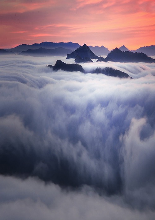 kushandwizdom:  More pictures here