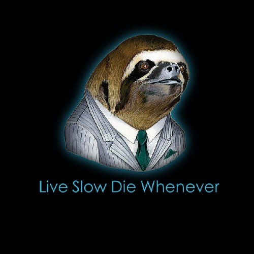 My motto #slothlife #love #funny