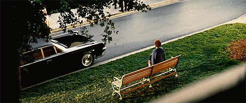 savingpltravers:Always on the lookout.