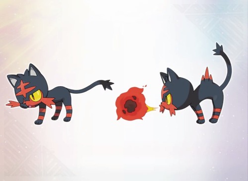manouchan: iris-sempi: Official Art of the New Starters for Sun and Moon Omg fire kitty!