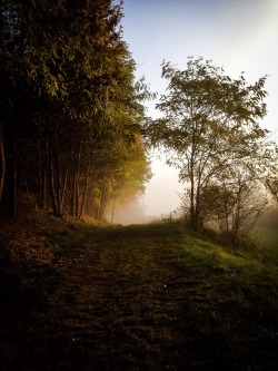 jalouise:  Lonely path 